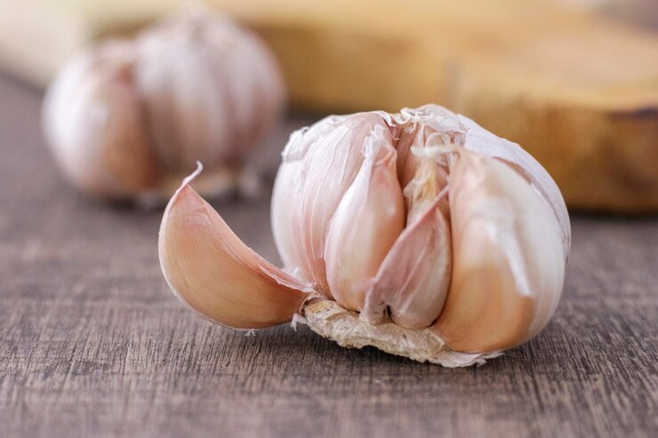 تصویر 5 از فروش سیر شمال + قیمت خرید به صرفه